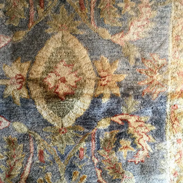 BB's Carpet Cleaners — photo from the business 11