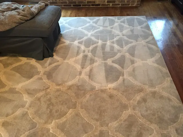 BB's Carpet Cleaners — photo from the business 12