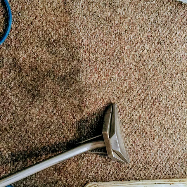 BB's Carpet Cleaners — photo from the business 7