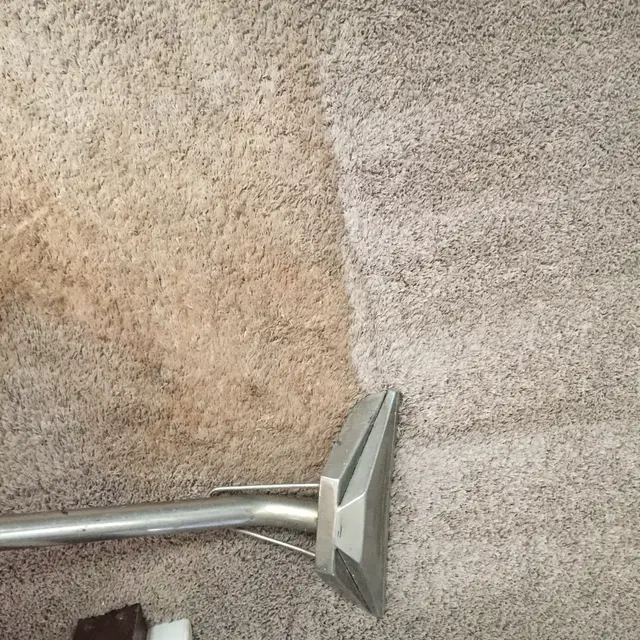 BB's Carpet Cleaners — photo from the business 5