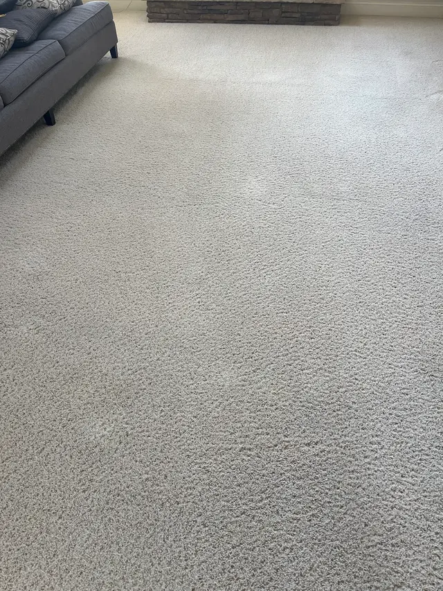 Oxi Fresh Carpet Cleaning — customer photo 10
