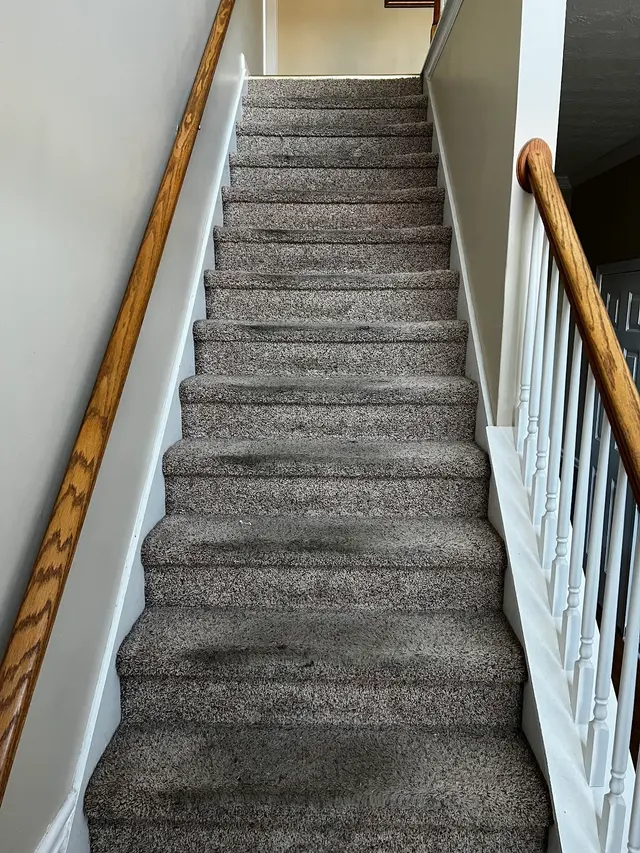 Oxi Fresh Carpet Cleaning — customer photo 2