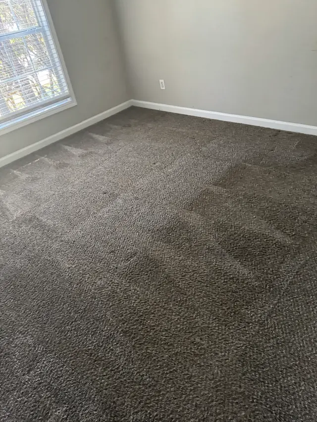 Customer photo from Shamika's review