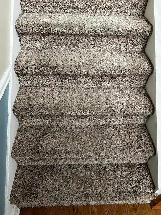 Oxi Fresh Carpet Cleaning — customer photo 4