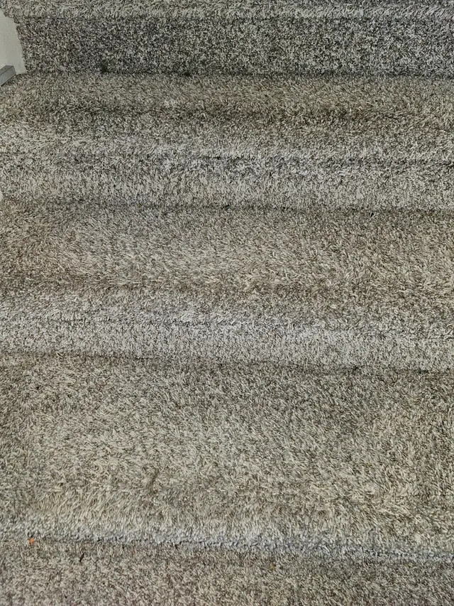 Oxi Fresh Carpet Cleaning — customer photo 9