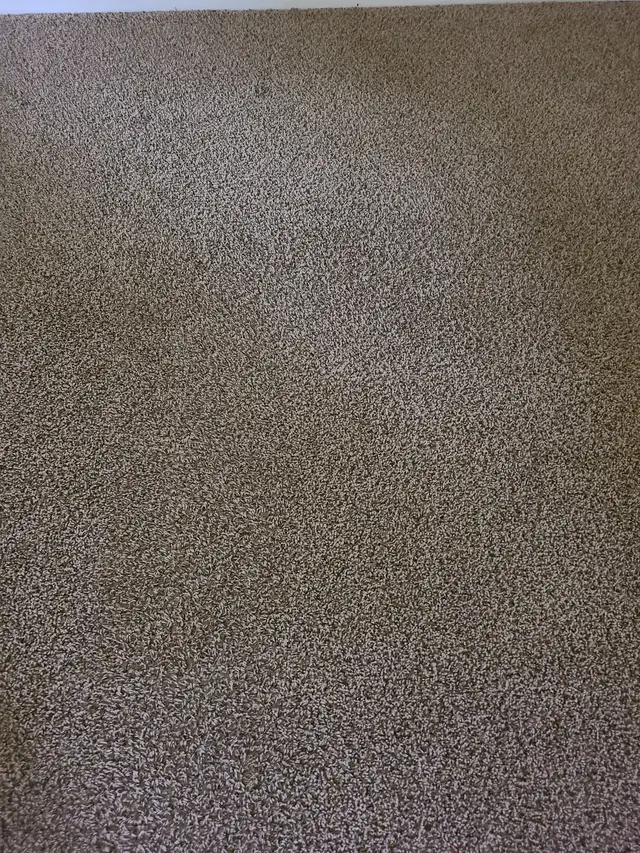 Oxi Fresh Carpet Cleaning — customer photo 8