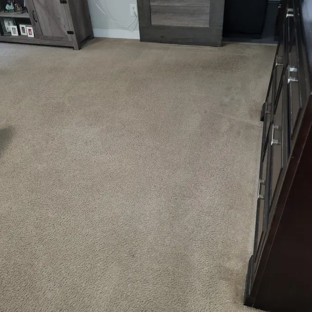 Oxi Fresh Carpet Cleaning — customer photo 11