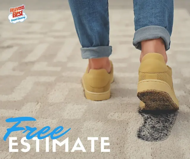 Heaven's Best Carpet Cleaning Lawrenceville, GA — photo from the business 8