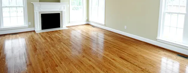 Heaven's Best Carpet Cleaning Lawrenceville, GA — photo from the business 4