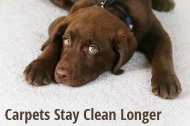 Heaven's Best Carpet Cleaning Lawrenceville, GA — photo from the business 12