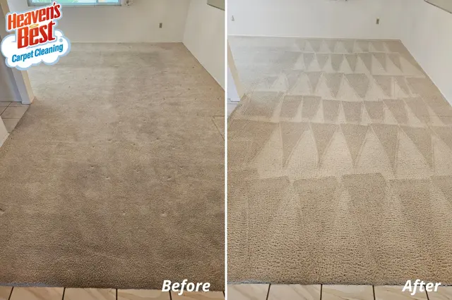 Heaven's Best Carpet Cleaning Lawrenceville, GA — photo from the business 2