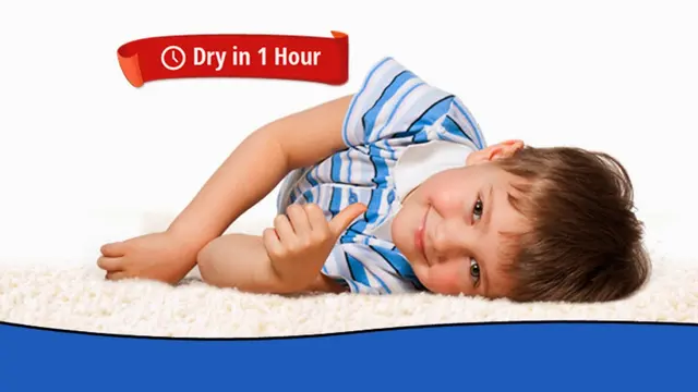 Heaven's Best Carpet Cleaning Lawrenceville, GA — photo from the business 1