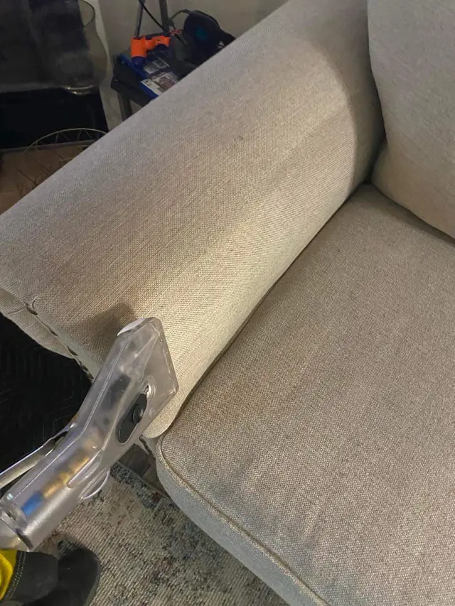 Thorough Carpet Cleaning LLC — photo from the business 4