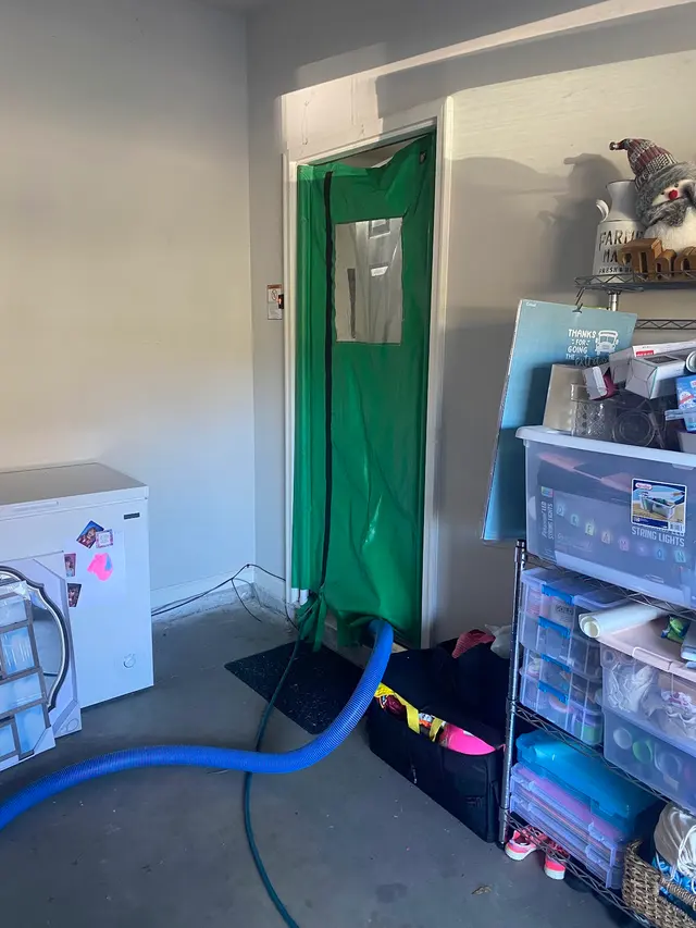 Thorough Carpet Cleaning LLC — photo from the business 7