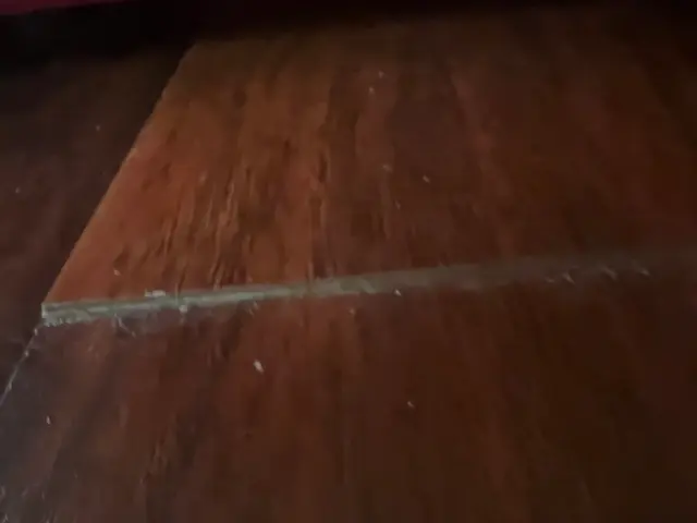 Customer photo of work by Thorough Carpet Cleaning LLC, from Angelia Merriweather's review