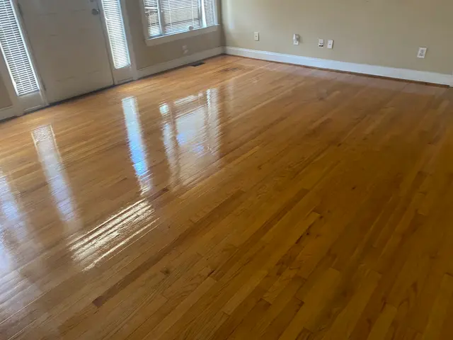 Thorough Carpet Cleaning LLC — photo from the business 3