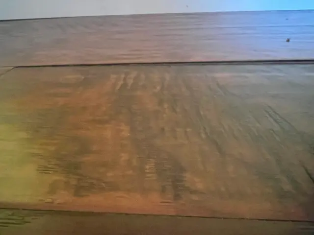 Customer photo of work by Thorough Carpet Cleaning LLC, from Angelia Merriweather's review