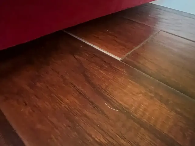 Customer photo of work by Thorough Carpet Cleaning LLC, from Angelia Merriweather's review