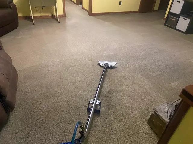 Thorough Carpet Cleaning LLC — photo from the business 2