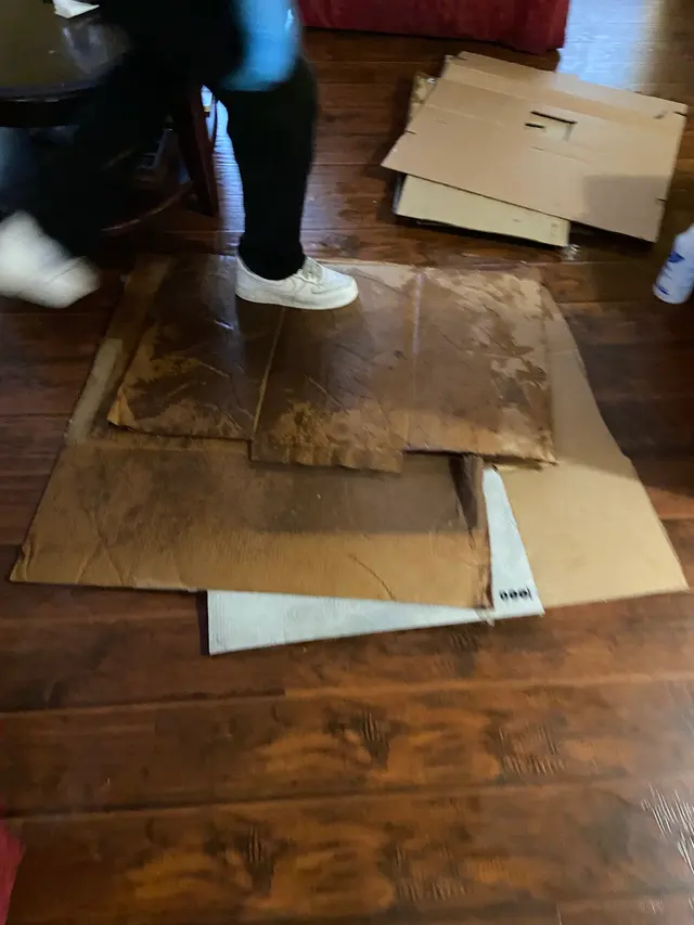 Customer photo of work by Thorough Carpet Cleaning LLC, from Angelia Merriweather's review