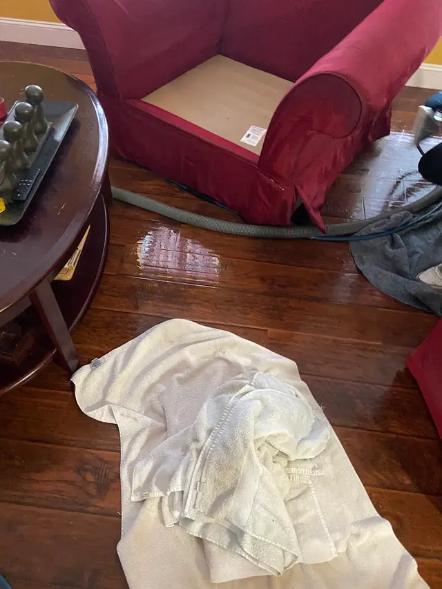 Customer photo of work by Thorough Carpet Cleaning LLC, from Angelia Merriweather's review