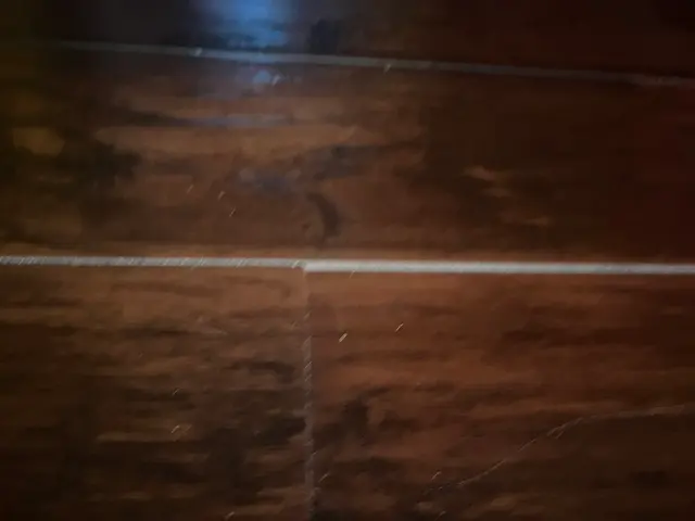 Customer photo of work by Thorough Carpet Cleaning LLC, from Angelia Merriweather's review