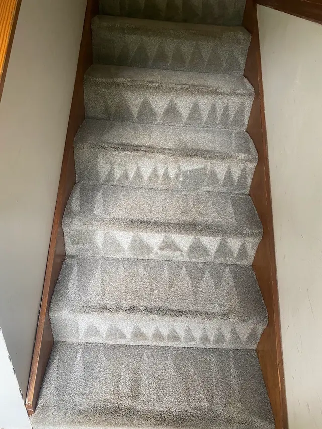 Thorough Carpet Cleaning LLC — photo from the business 8