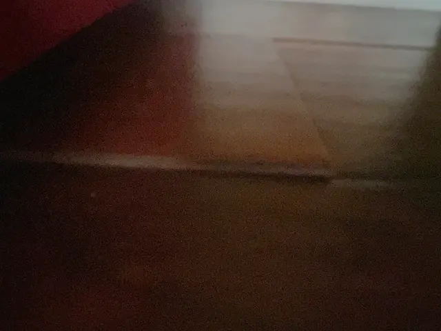 Customer photo of work by Thorough Carpet Cleaning LLC, from Angelia Merriweather's review