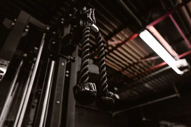 Top Line Gym — photo from the business 3
