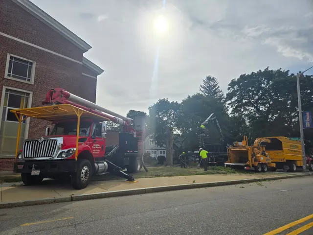 Dillon Tree Service — photo from the business 1