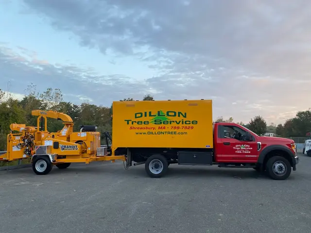 Dillon Tree Service — photo from the business 8