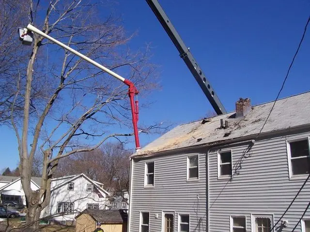 Dillon Tree Service — photo from the business 4