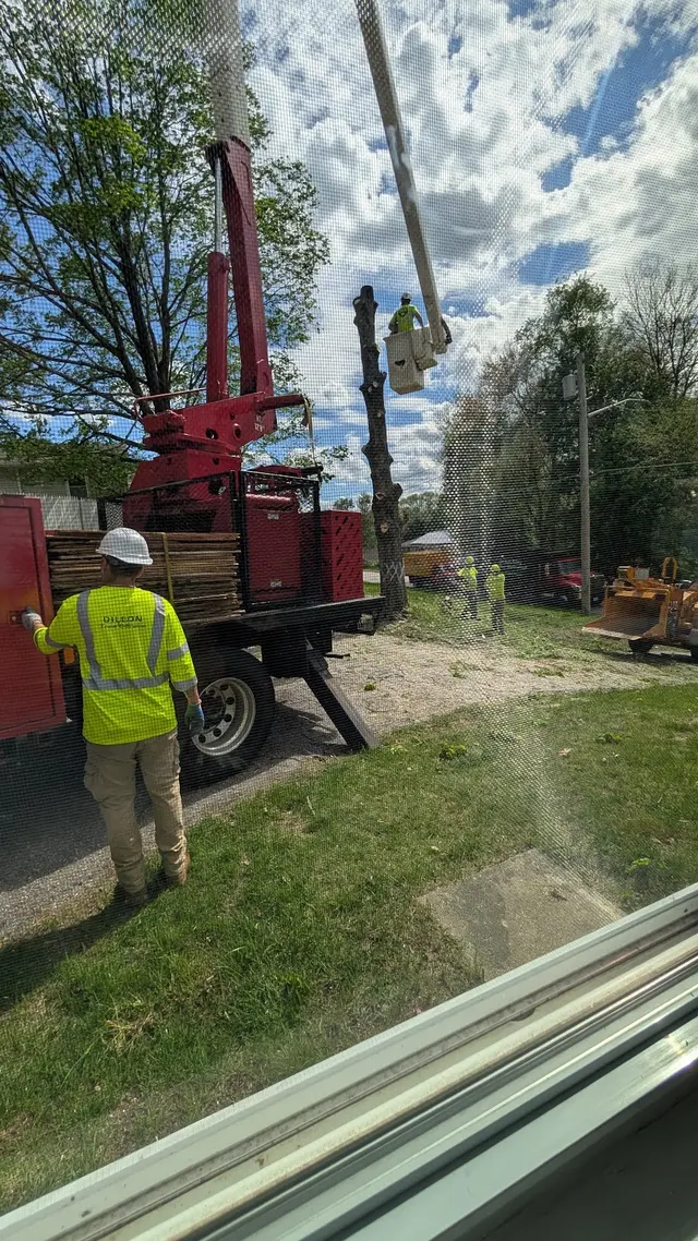 Dillon Tree Service — customer photo 3