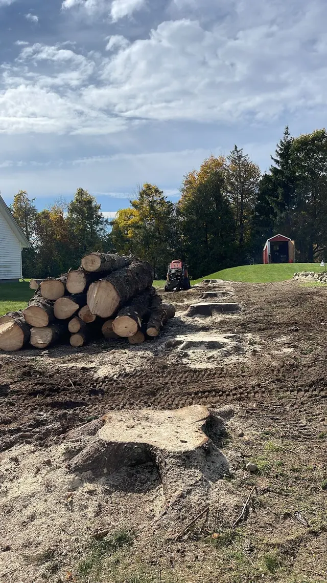 TW Tree Care — photo from the business 10