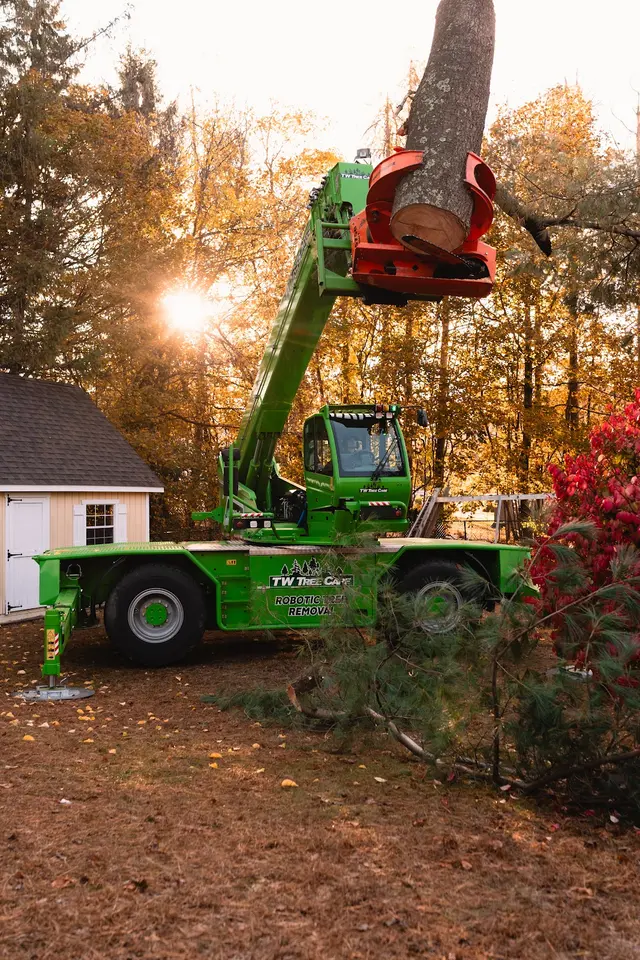 TW Tree Care — photo from the business 2