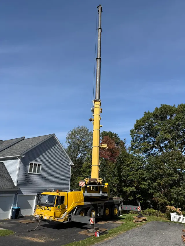 New England Tree Experts — customer photo 3
