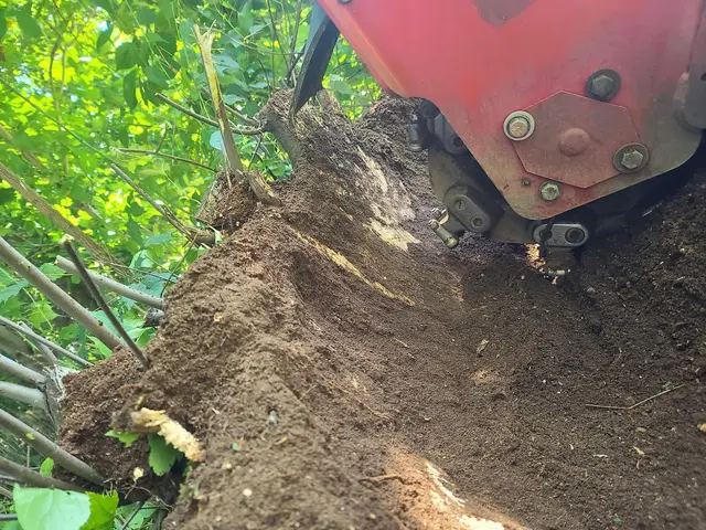 Grin & Grind Stump Removal — photo from the business 7