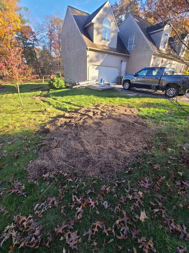 Grin & Grind Stump Removal — photo from the business 12