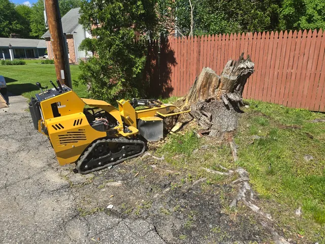 Grin & Grind Stump Removal — photo from the business 11