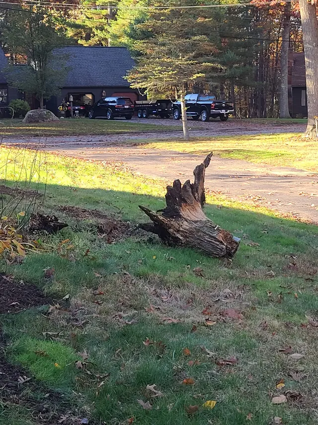Grin & Grind Stump Removal — photo from the business 3