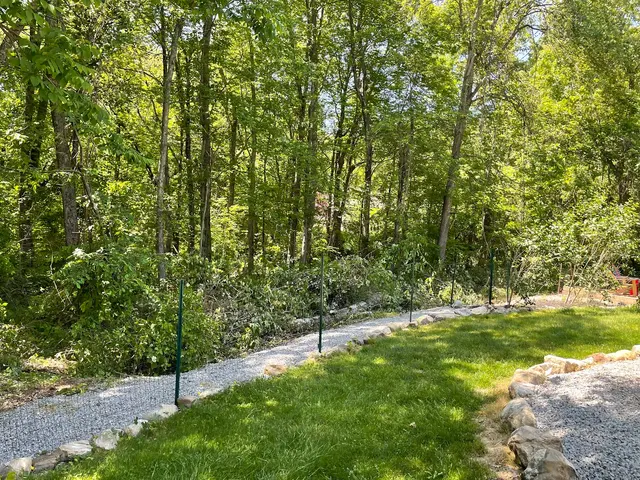 Orloff Tree Service & Excavation — customer photo 10