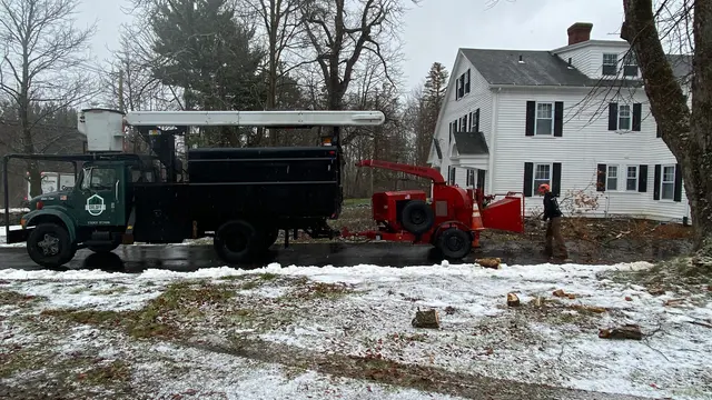 Orloff Tree Service & Excavation — photo from the business 1