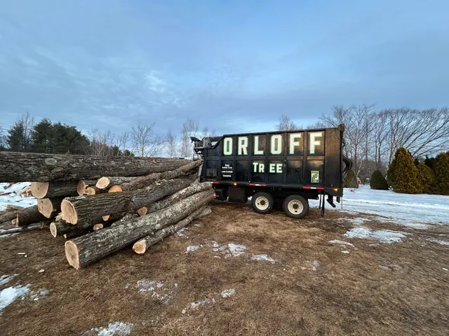 Orloff Tree Service & Excavation — photo from the business 6