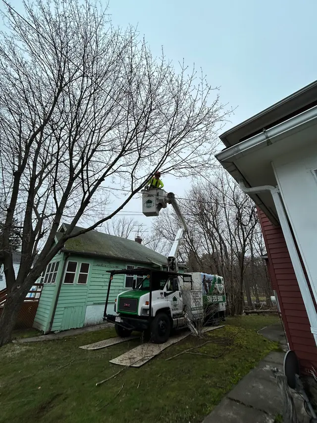 Orloff Tree Service & Excavation — photo from the business 7