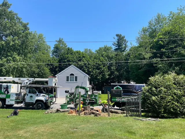 Orloff Tree Service & Excavation — customer photo 2