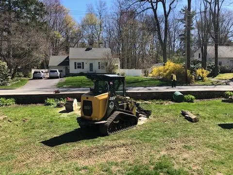 Orloff Tree Service & Excavation — customer photo 3