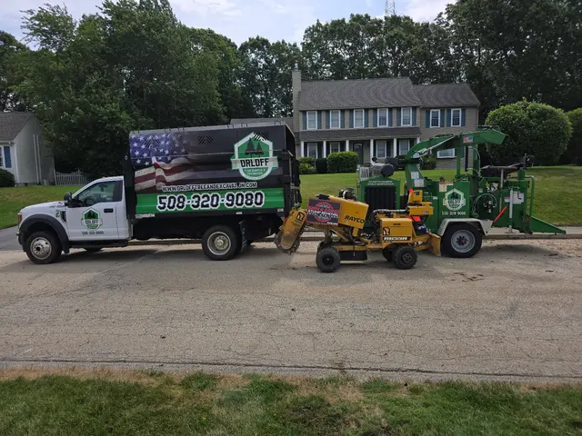 Orloff Tree Service & Excavation — customer photo 4
