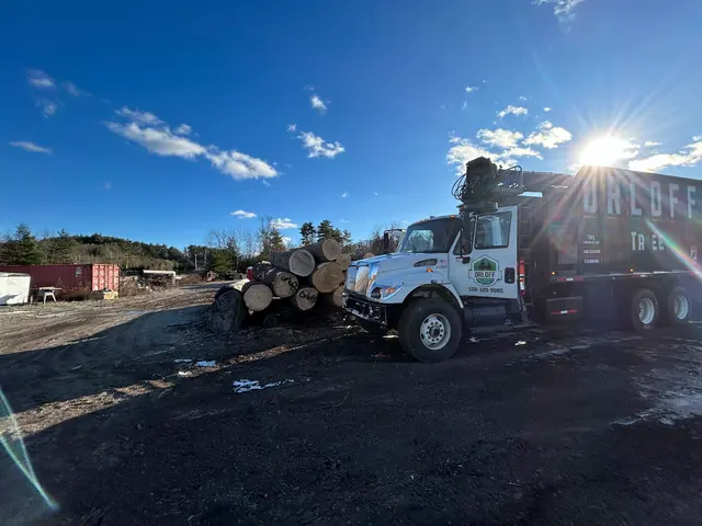 Orloff Tree Service & Excavation — photo from the business 8