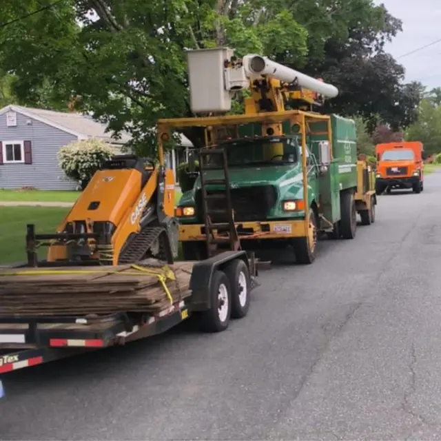 Adam's Tree Service — photo from the business 10