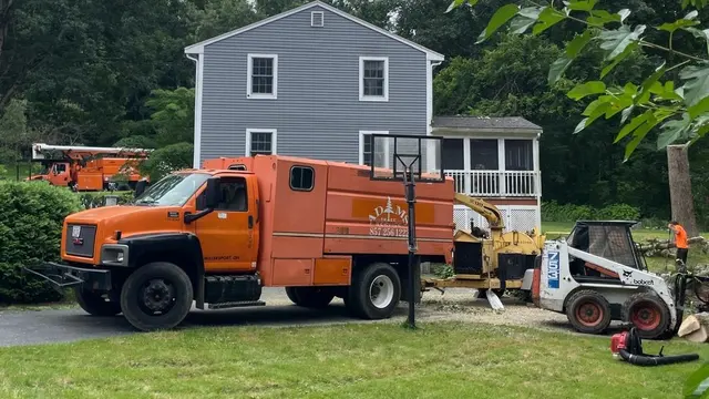 Adam's Tree Service — photo from the business 1